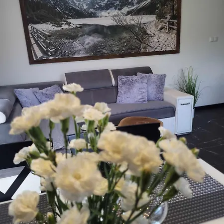 Apartamenty Pod Gontem Zakopane Zewnętrze zdjęcie